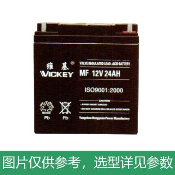 维基 蓄电池，6-GFM-65 12V/65AH，330*172*180mm(如需配线提前沟通) 售卖规格：1块