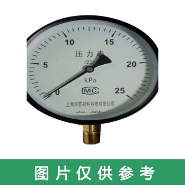 上海申荟 压力表，Y100 0-1.6MPa 售卖规格：1块