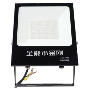 飞德朗 小金刚投光灯，FDL-QNXJGFGD-100W，白光，含U型支架 售卖规格：1套