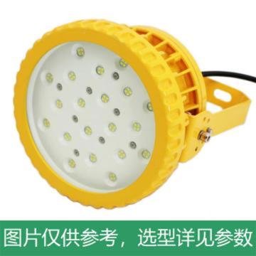 雷发照明 LED泛光灯，LFB0100，100W，白光，5000K，U型支架安装 售卖规格：1套