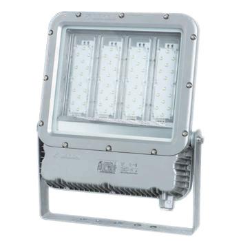 华荣 LED投光(泛光）灯，120W 发光角度90° 白光5000K，RLEFL319-XL120A5，单位：个