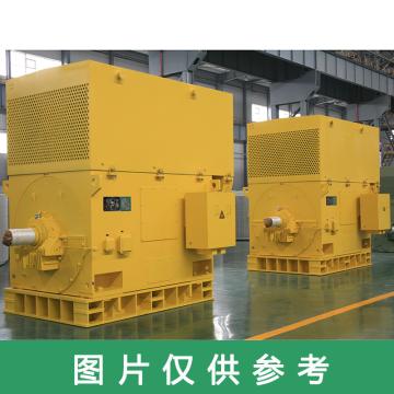 湘潭电机 高效电机，YXKK560-4，1250KW，6KV，IP54 售卖规格：1台