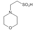 百灵威/J&K 2-(N-吗啉基)乙磺酸，100282-100G CAS：4432-31-9，99% 售卖规格：100克/瓶
