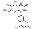 百灵威/J&K 4-甲基伞形酮基 2-乙酰氨基-2-脱氧-α-D-吡喃葡糖苷，117017-5MG CAS：80265-04-9，98% 售卖规格：5毫克/瓶