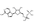 百灵威/J&K 腺苷-5'-二磷酸三锂盐，124949-5G CAS：31008-64-7，97% 售卖规格：5克/瓶