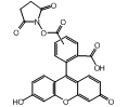 百灵威/J&K 5(6)-羧基荧光素(N-羟基琥珀酰亚胺)酯，186468-100MG CAS：117548-22-8，90% 售卖规格：100毫克/瓶