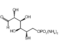 百灵威/J&K 5-硫代-D-葡萄糖-6-磷酸二铵盐，226112-1MG CAS：108391-99-7，97%，1mg/瓶 售卖规格：1瓶