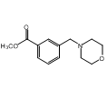 百灵威/J&K 3-[(1-吗啉基)甲基]苯甲酸甲酯，119474-250MG CAS：190660-95-8，98% 售卖规格：250毫克/瓶