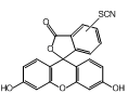 百灵威/J&K 5(6)-异硫氰酸荧光素，194222-1G CAS：27072-45-3，95%，1g/瓶 售卖规格：1瓶