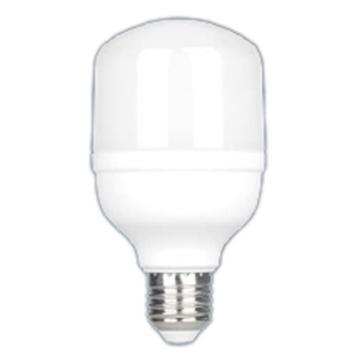 红壹佰 LED灯泡，TM-3-15W-E27-6500K 白光 售卖规格：1个