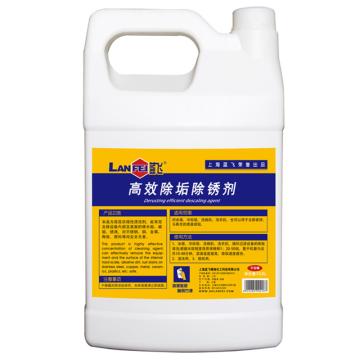 蓝飞 高效除垢除锈剂，Q048-1 1加仑/桶 售卖规格：1桶
