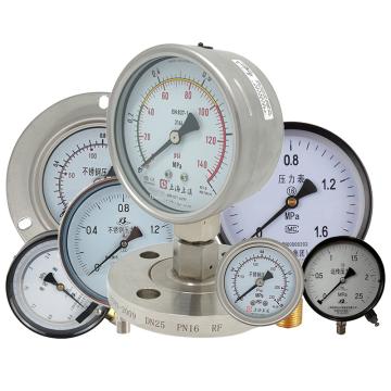 上仪 压力表，Y-100碳钢+铜,径向不带边,Φ100 0~16MPa,M20*1.5 售卖规格：1个
