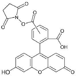 阿拉丁/Aladdin 5(6)-羧基荧光素琥珀酰亚胺酯，C107884-100mg CAS：117548-22-8，96%,异构体混合物，100mg/瓶 售卖规格：1瓶