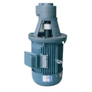 泰兴达力/TXDL CB-B齿轮泵装置（立式），LBZ-80-4KW 售卖规格：1台
