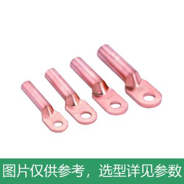 德力西DELIXI 铜管压接线端子（酸洗），DTG-240厚件，DTG240SHD，10个/包