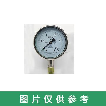 雷尔达 弹簧管压力表，Y-100 0-2.5MPa\1.6级\M20*1.5 售卖规格：1个