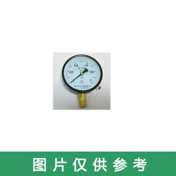 雷尔达 弹簧管压力表，Y-100 0-1MPa\1.6级\M20*1.5 售卖规格：1个