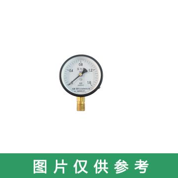 雷尔达 弹簧管压力表，Y-100 0-1.6MPa\1.6级\M20*1.5 售卖规格：1个