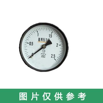 雷尔达 氨气压力表，YA-100ZT 0-2.5Mpa 1.6级