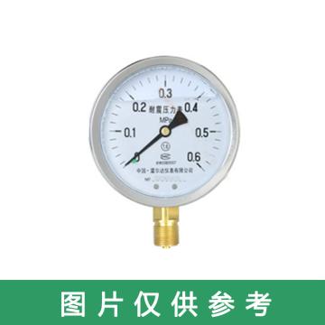 雷尔达 耐震压力表，YN-100 0-0.6Mpa,1.6级,M20*1.5 售卖规格：1个