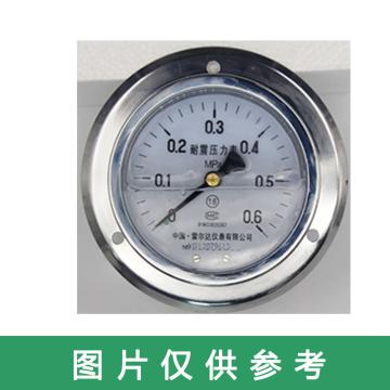 雷尔达 耐震压力表，YN-100ZT 0-0.6Mpa 1.6级 M20*1.5