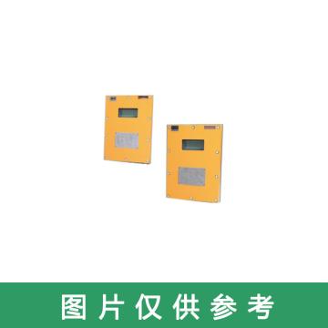 永瑞仪表 矿用隔爆兼本安型超声波流量计，LCZ1000/600G 外贴式 带隔爆兼本安型电源箱 售卖规格：1台