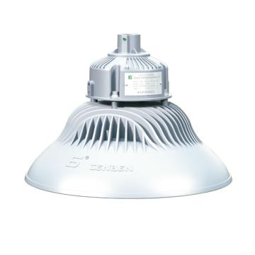 森本 LED免维护节能防水防尘防腐工厂灯，180W，白光，FGV6225-LED180，吸顶式B，单位：套