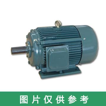湘潭电机 低压交流三相异步电机，YE3-280S-2 75KW 2P B3 380V 50HZ IC411 IE3 售卖规格：1台