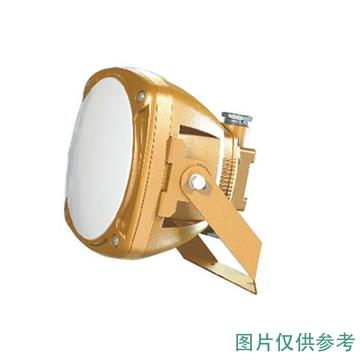 森本 防爆LED光源灯，白光 30W，FGV1246-LED30，单位：个