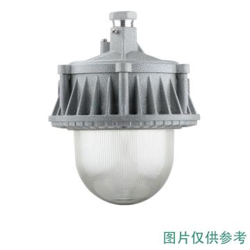 源本技术 LED防爆灯（平台灯），30W白光，GF8510-30W，吊杆安装（含吸盘、0.3米直吊杆），单位：个
