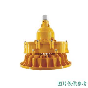 深圳海洋王 LED防爆泛光灯 ok-8125 功率 70W（BFC8125）含配件，单位：个