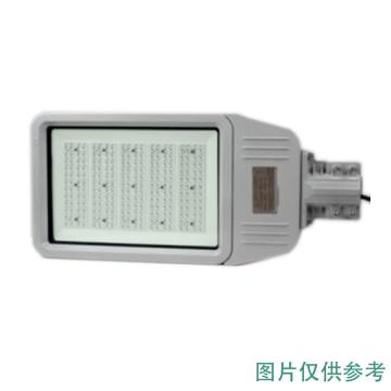 津达 LED免维护节能路灯，KNDFB6130A，150W，不含灯杆 售卖规格：1个