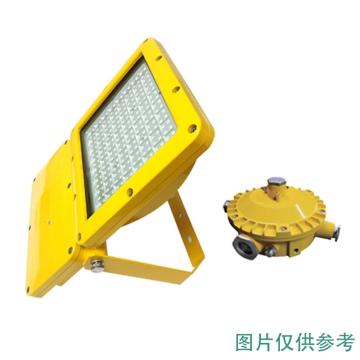 尚为 LED应急泛光灯，SZSW8120E-150W，不含安装附件，单位：个