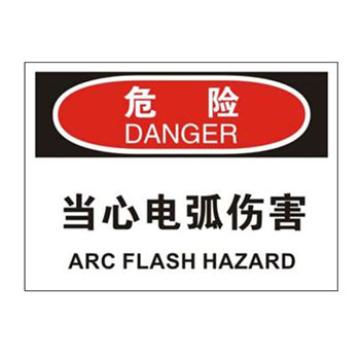 Blive OSHA危险标识-当心电弧伤害，自粘性乙烯，250×315mm，BL-S-32757 售卖规格：1包