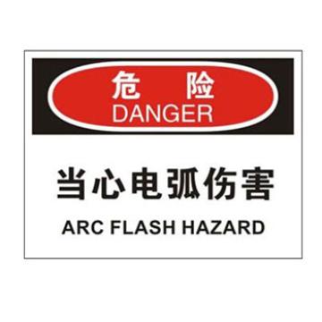 Blive 电气伤害类危险标识危险-当心电弧伤害，自粘性乙烯，250×315mm，BL-S-33040 售卖规格：1包