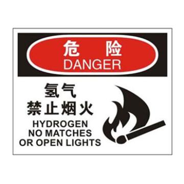 Blive 火灾消防类危险标识危险-氢气禁止烟火，自粘性乙烯，250×315mm，BL-S-33073 售卖规格：1包
