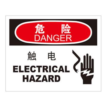 Blive 电气伤害类危险标识危险触电，自粘性乙烯，250×315mm，BL-S-33200 售卖规格：1包