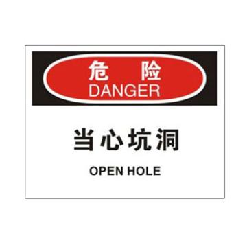 Blive OSHA危险标识-当心坑洞，PP板，250×315mm，BL-PP-32657 售卖规格：1包