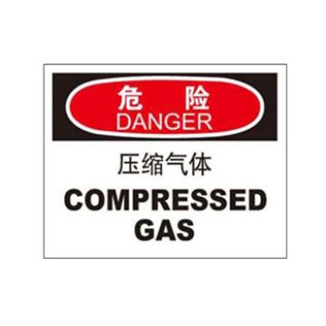 Blive 化学品伤害类危险标识危险-压缩空气，PP板，250×315mm，BL-PP-33029 售卖规格：1包