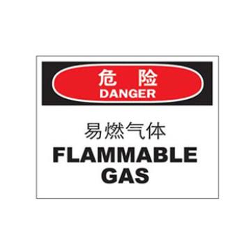 Blive 火灾消防类危险标识危险-易燃，PP板，250×315mm，BL-PP-32042 售卖规格：1包