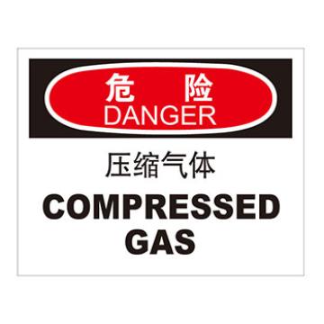 Blive 化学品伤害类危险标识危险压缩气体，PP板，250×315mm，BL-PP-33195 售卖规格：1包