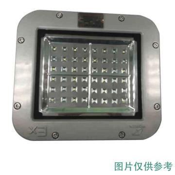 华荣 防爆投光灯，50W，RLEEXL615-XL50B，含U型支架，单位：个