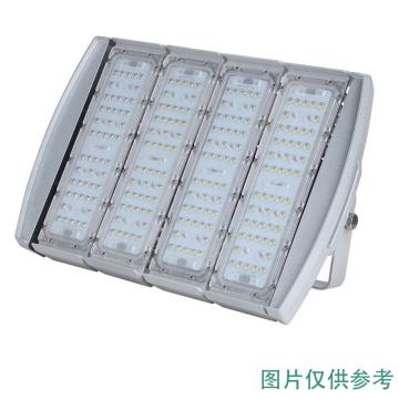 智圣谱 LED大功率泛光灯，400W，白光，ZS-LF8811，含U型支架，单位：个