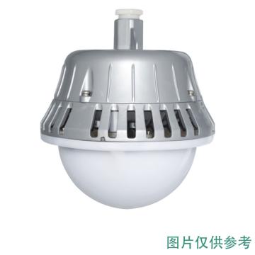 华荣 LED灯（智能灯） GC203-XL50II，单位：个