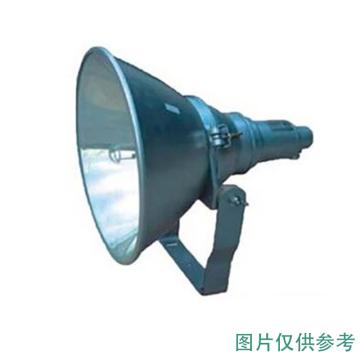深圳海洋王防震型投光灯，NTC9200-1000 单位：个