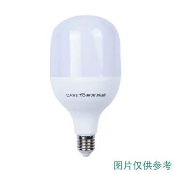 开尔照明 LED灯泡，精品柱形灯，25W，白光，E27 T100，110×188，2000lm 售卖规格：1个