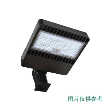 耀嵘照明 LED路灯，48W，白光，YR-PL275-W48，安装口径60mm，单位：个