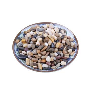 安赛瑞 鹅卵石（5kg），500061，高抛五彩石石径0.5-0.8cm 售卖规格：1包
