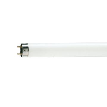 飞利浦 对色灯管，TL-D 18W/950 Graphica 豪华型，单位：个