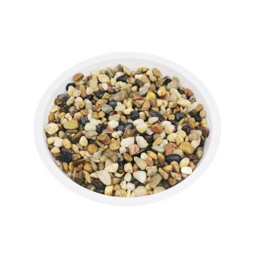 安赛瑞 滤料豆石（5kg），500054，石径0.4-0.8cm 售卖规格：1包